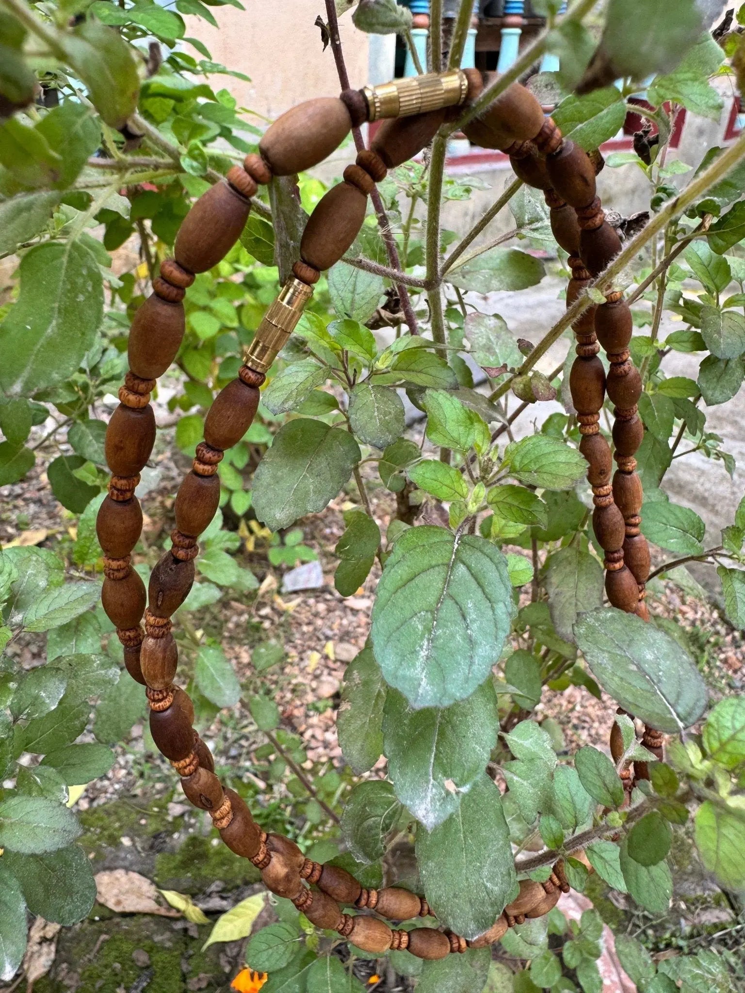 Tulsi Kanthi Mala - MAYAPURSTORE  Tulsi Japa Mala 