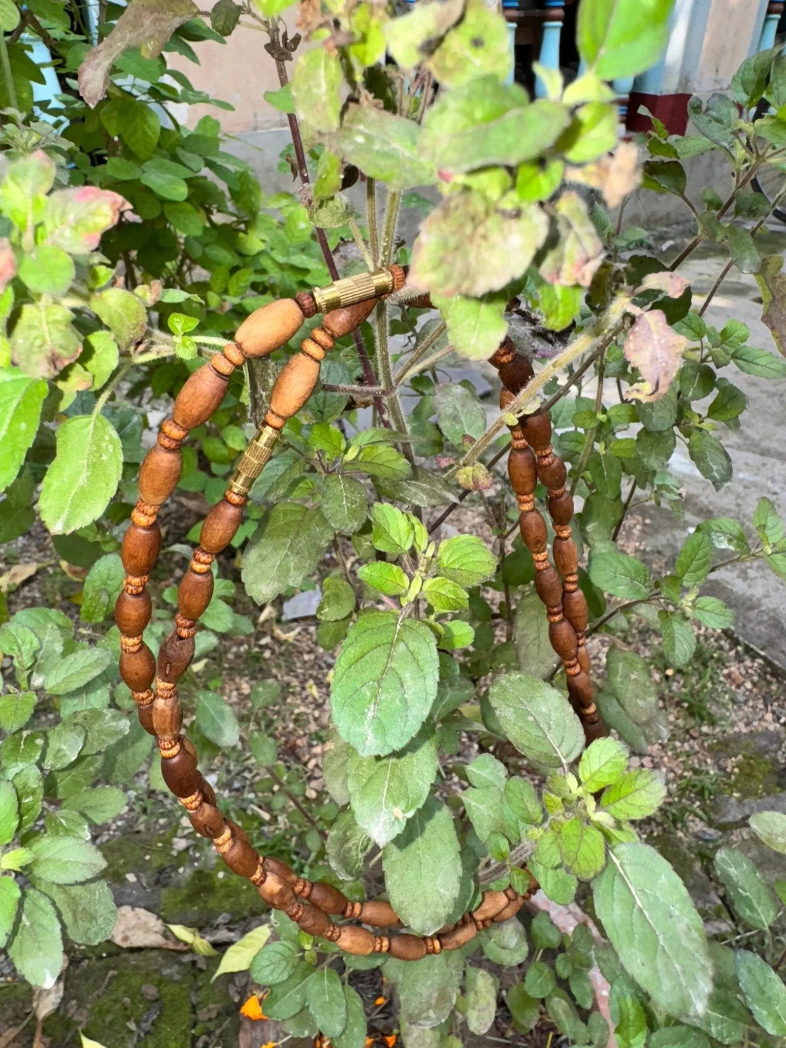 Tulsi Kanthi Mala - MAYAPURSTORE  Tulsi Japa Mala 